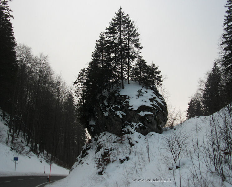 2007fevrier1_DSCI0036 (6)_w_h6001.jpg